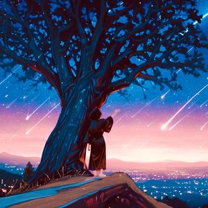 流星群の降る夜