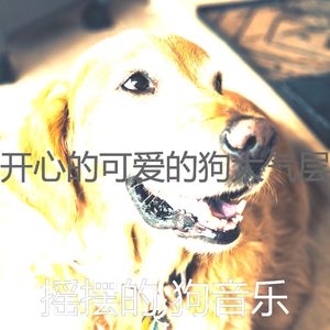 优美小狗器乐