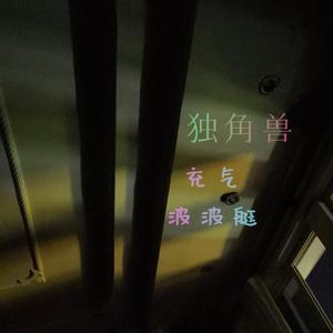 独角兽充气波波艇