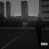 29 - Nebzy