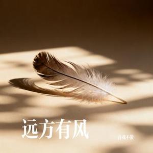 远方有风