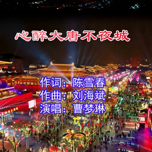 心醉大唐不夜城