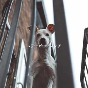 Smooth Moods for A Peaceful Gaze