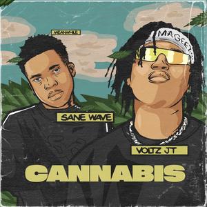 Cannabis (feat. Sane Wav)