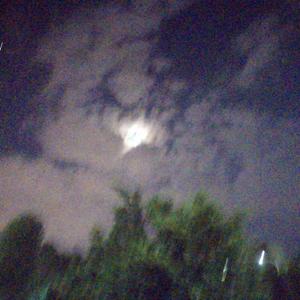 你不是孤单一人