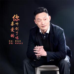 亲爱的你听到了吗