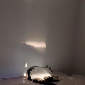 罗曼蒂克史