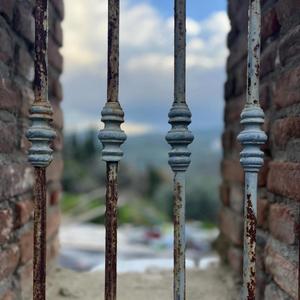BİZ BİRLİKTE YÜRÜRÜZ