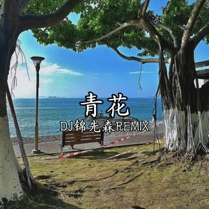 青花（DJ锦先森 Remix）