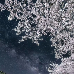 夏霞の終わり