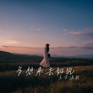 多想来去如风