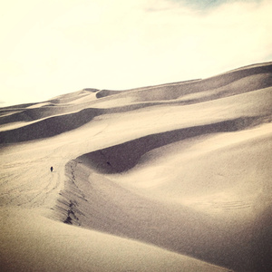 The Finalists of the 1949 English Football Cup According to Karl Marx