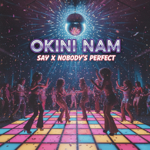 say x nobody's perfect