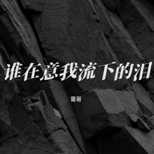 谁在意我流下的泪