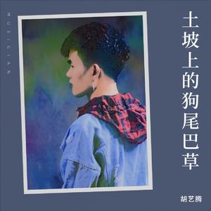 土坡上的狗尾草（抖音热搜版）