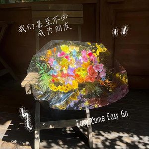 我们甚至不必成为朋友