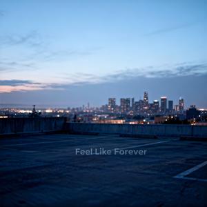 Feel Like Forever