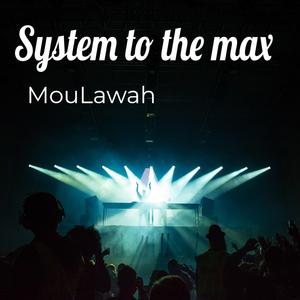 System to the Max