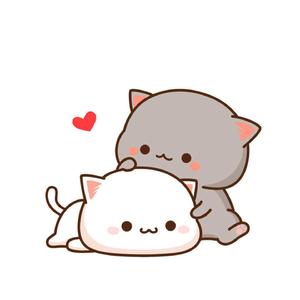 脚本（cover：王力宏）（翻自 王力宏）