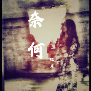 奈何