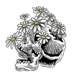 Pushing Daisies