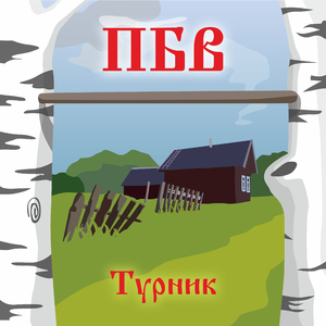 Турник