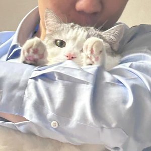 跳跳糖(只写了开头版)