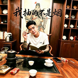 我抽的不是烟(烟嗓)