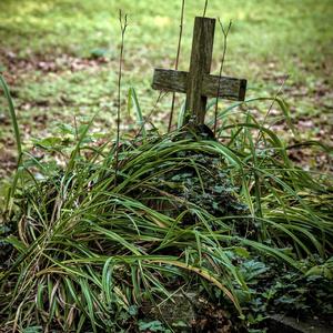 Thinking of Someone I Loved