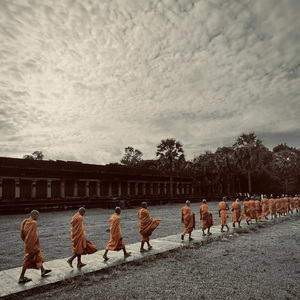 盘旋上升的生命之树(The Tree)