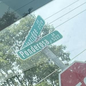 Like Dah Daisy (feat. Huncho Rackz)