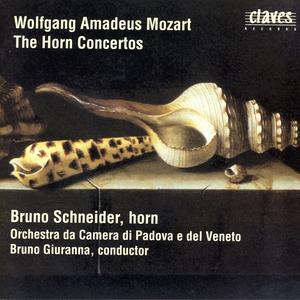 Concerto for Horn & Orchestra in E-Flat Major, K.495: I. Allegro maestoso