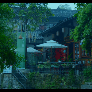 树下小院