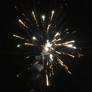 七情六欲