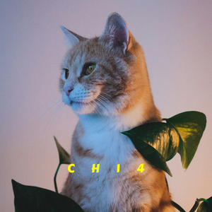 Ch14