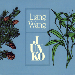 Oster-Oratorium, BWV 249: I. Sinfonia