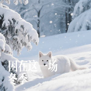 困在这一场冬季