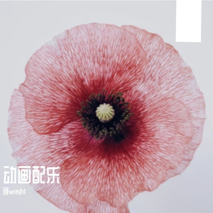 无-温暖温馨（珂weight remix）