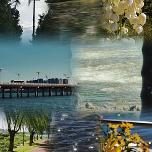 云水谣（翻唱）