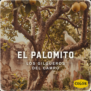 Seguirás Siendo Mia