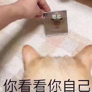 月曜日の憂鬱(cover；天月）