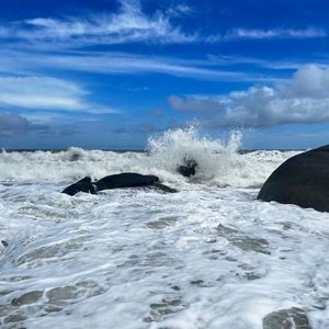 “Dear Pa” ｜Reggaeton Type beat｜