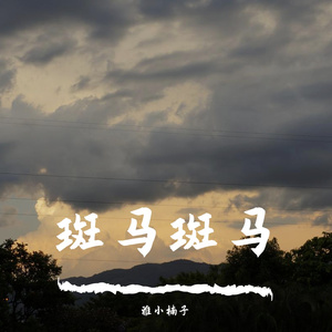 斑马斑马 （翻自 宋冬野）