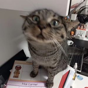 New Jazz Type Beat "concrete"