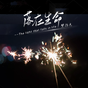 落在生命里的光