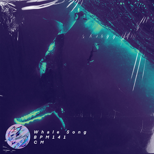 【FREE BEAT】鲸歌