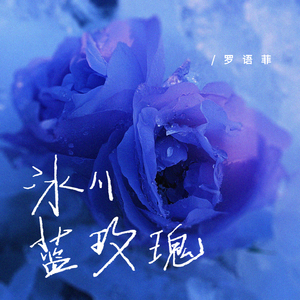 冰川蓝玫瑰