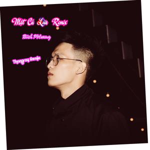 Một Cú Lừa (Remix) (Remix)