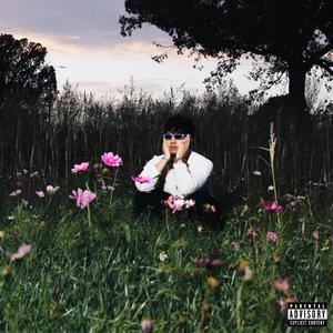 SILVER CROSSES (Interlude)