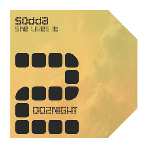 She Likes It (Original Mix)